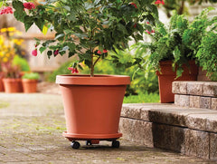 Takaz Global 2 li Tekerlekli Saksı Altığı 29 CM Kahve