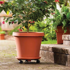 Takaz Global Coadura Saksı Taşıyıcı ve Altığı 29 Cm Tekerlekli KAHVERENGİ
