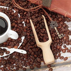 Takaz Global Ahşap Baharat Kaşığı Barnhard Design 12 li PAKET