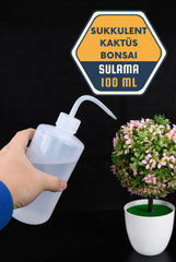 Sukkulent Kaktüs Bonsai Sulama Şişesi