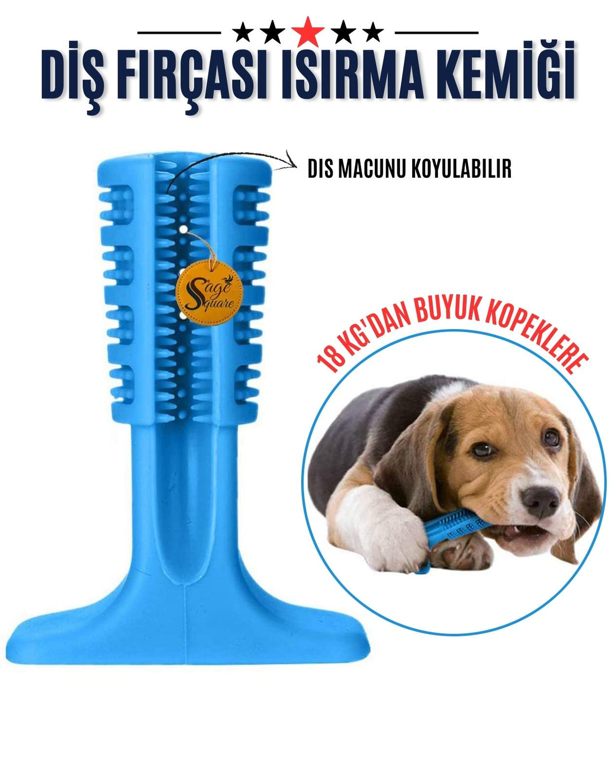 Diş Fırçası Isırma Kemiği 18 KG+ Macun Hazneli