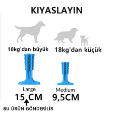 Diş Fırçası Isırma Kemiği 18 KG+ Macun Hazneli