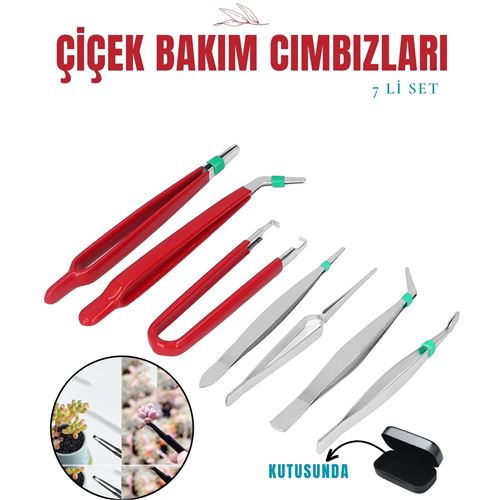 Takaz Global Çiçek Bakım Kutulu Cımbız Seti