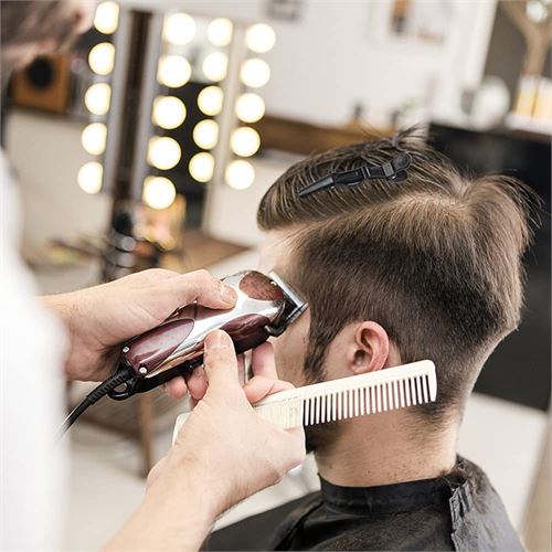 Takaz Global Saç Pensi Saç Klipsi 5 Adet Crocodile Design
