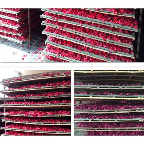 Takaz Global Doğal Kokulu Dekoratif Gül Yaprakları 350 GRAM