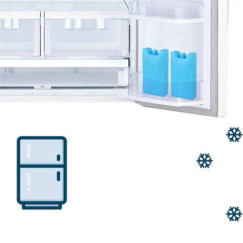 Takaz Global Buz Kasedi 5 ADET 400 Gramlık