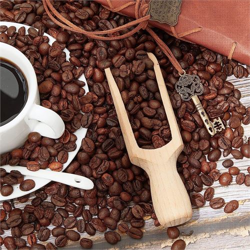 Takaz Global Ahşap Baharat Kaşığı Barnhard Design 12 li PAKET