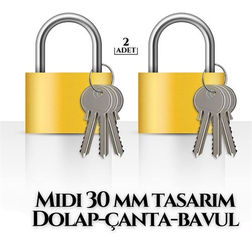Takaz Global Medium 30 mm Dolap Çanta Bavul Kilidi 2 ADET