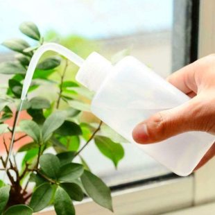 Sukkulent Kaktüs Bonsai Sulama Şişesi
