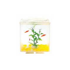 Aquasyncroapple Windows 15x15x18